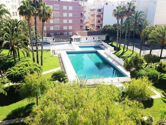 Golden Apartment in Palm Park - Apartamento de 2 dormitorios - 1