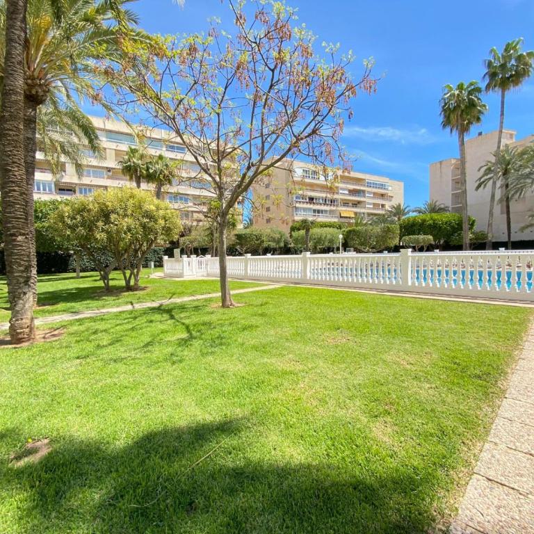 Golden Apartment in Palm Park - Apartamento de 2 dormitorios - 15