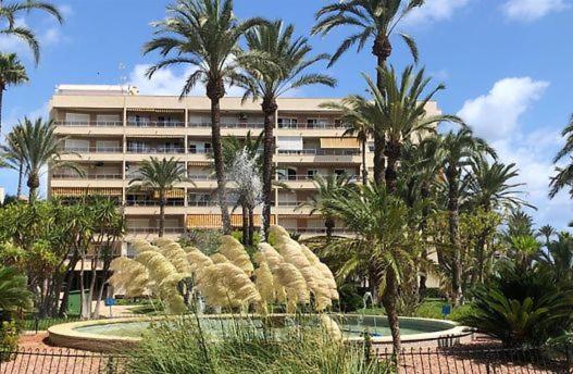 Golden Apartment in Palm Park - Apartamento de 2 dormitorios - 20