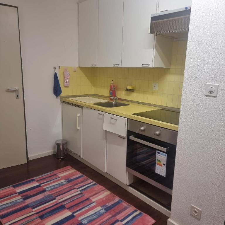 Luzern See - Apartment mit 1 Schlafzimmer - 11