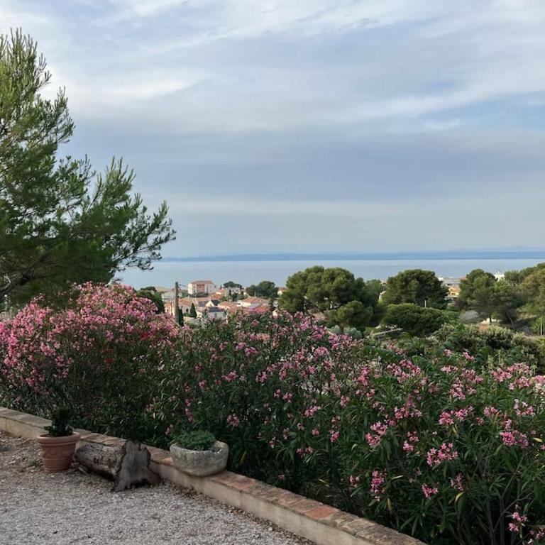 Les Restanques De L' Etang - Appartamento con 2 Camere da Letto - 22
