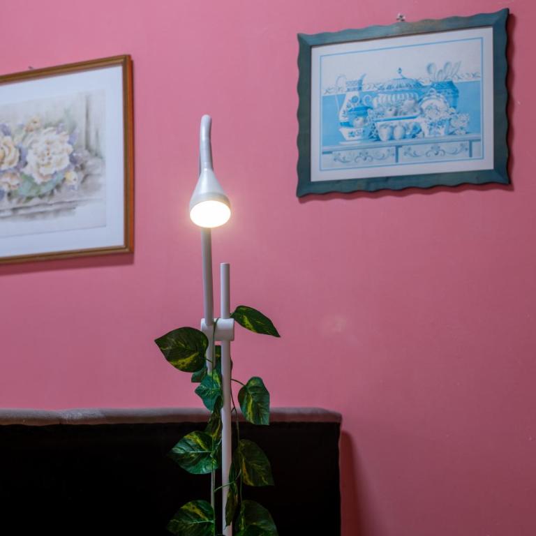 Dimora Gospa - Appartamento - 13