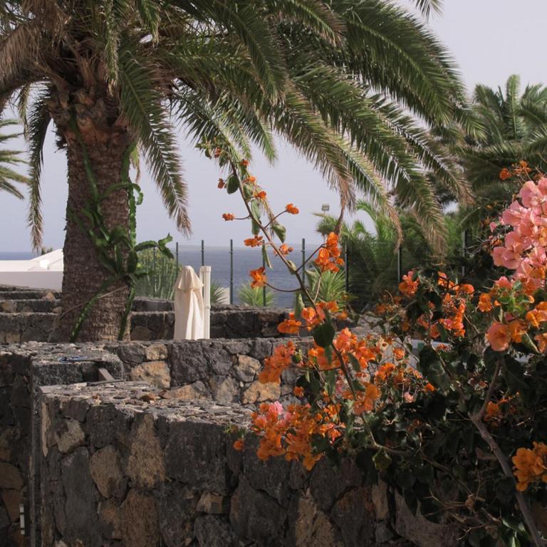 Bungalow GOA Pool view, Playa Roca residence sea front access - Free AC - Wifi - Apartamento de 1 dormitorio - 12