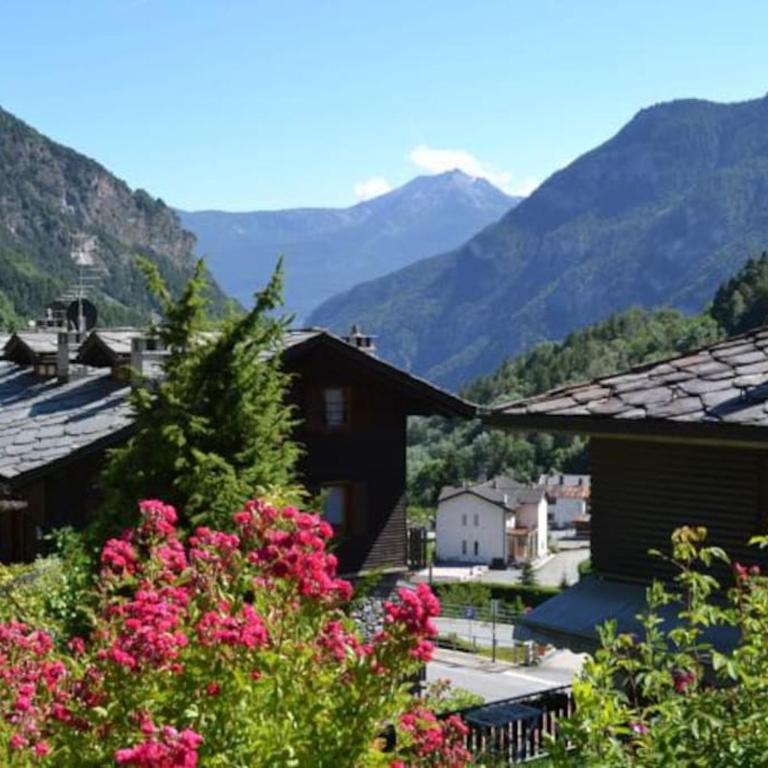 Spectacular mountain hideaway - Chalet - 13