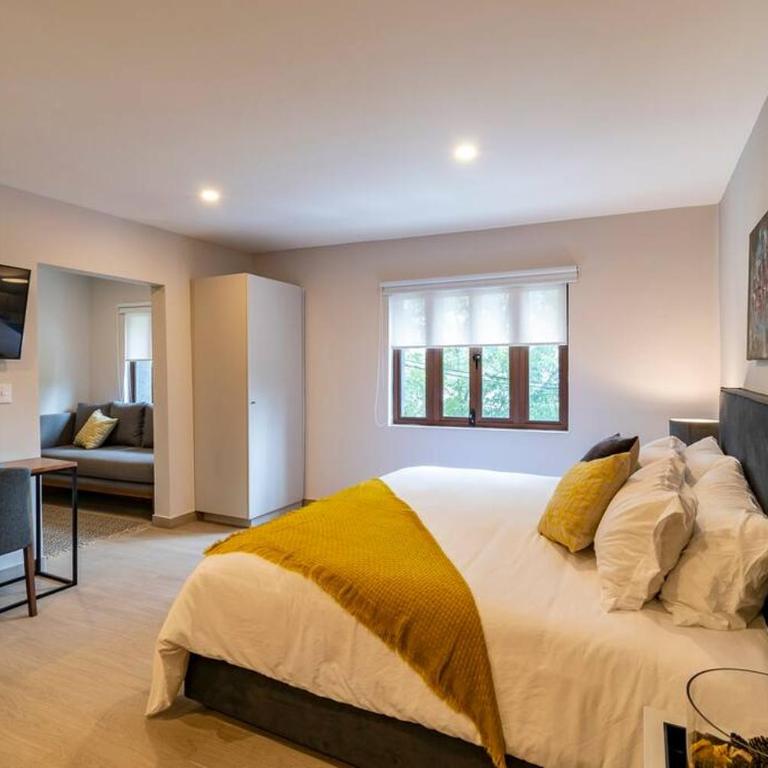 LOVELY LOFT IN COYOACÁN (FRIDA) by M&I - One-Bedroom Apartment - 9