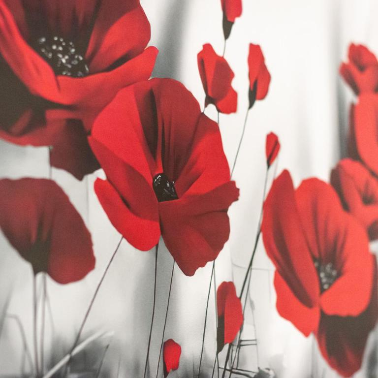 Flower apartment - Appartamento - 15