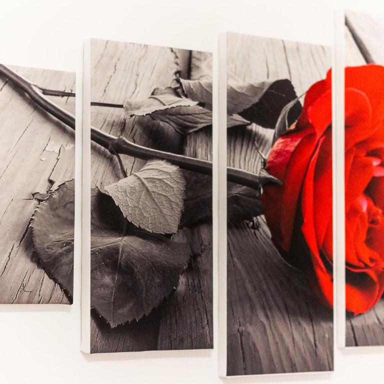 Flower apartment - Appartamento - 16