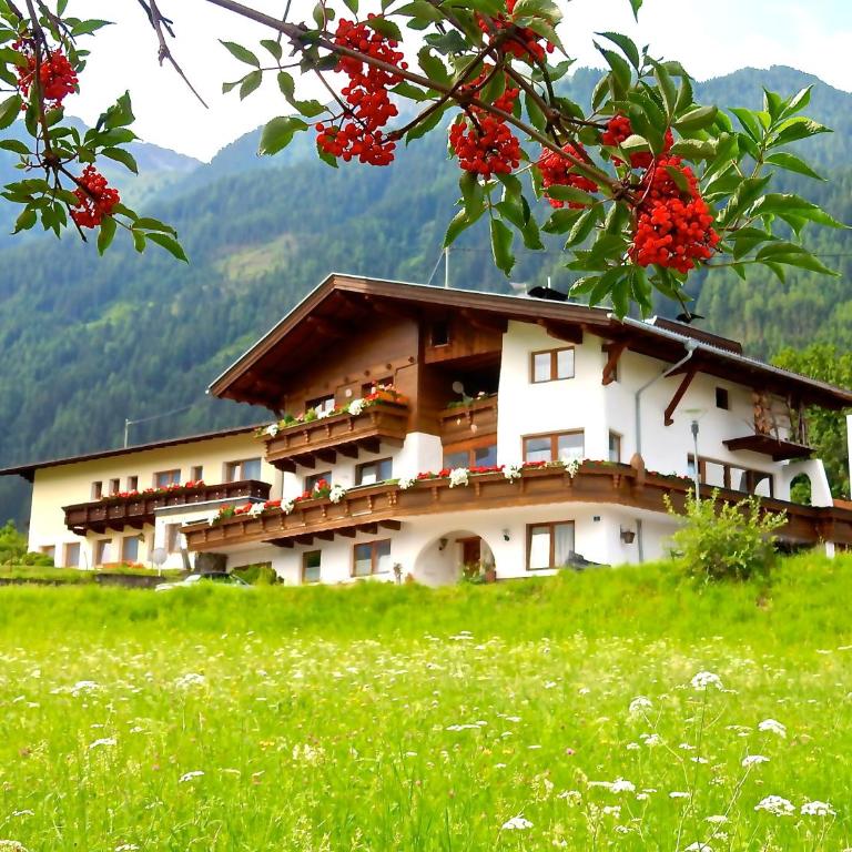Ferienhaus Alpina Ötztal - Apartment mit Blick auf die Berge - 65
