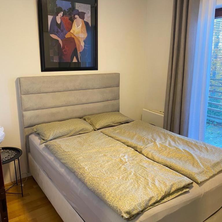Apartman Bjelasnica - Apartman sa 1 Spavaćom Sobom - 13