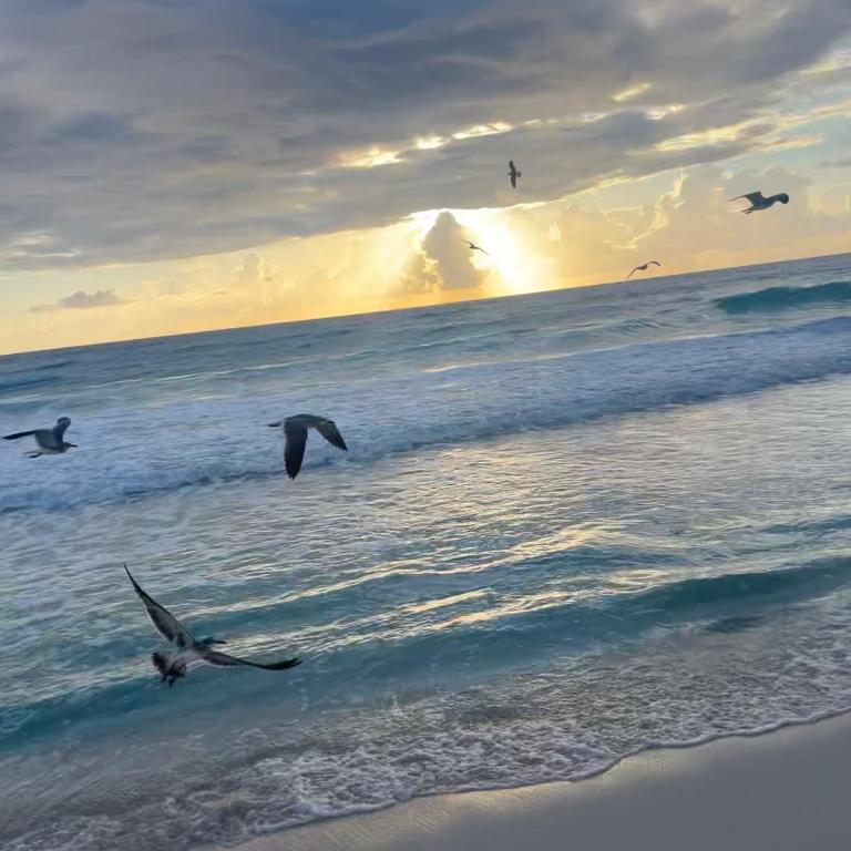 Suite Brisas Cancun - One-Bedroom Apartment - 23