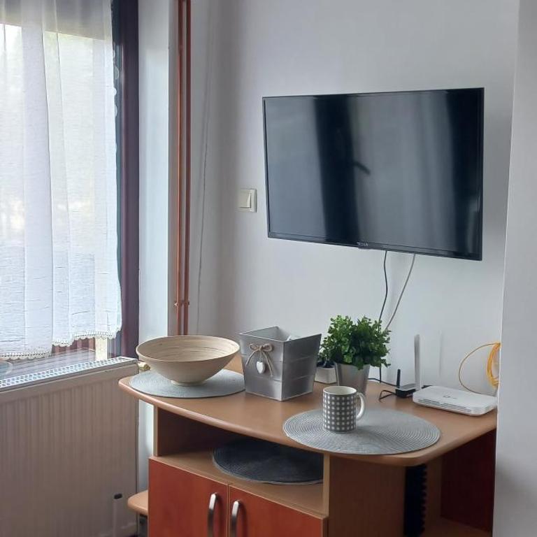 Divčibare Snežna Kraljica ap 13 - Apartman sa 1 Spavaćom Sobom - 4