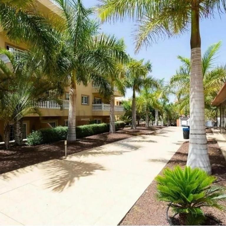 Friendly Palm-Mar - Apartamento de 2 dormitorios - 18
