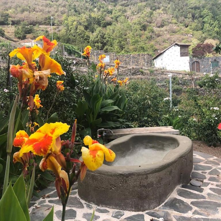 Villa Califurnia de Icod de Los Vinos - Villa - 30