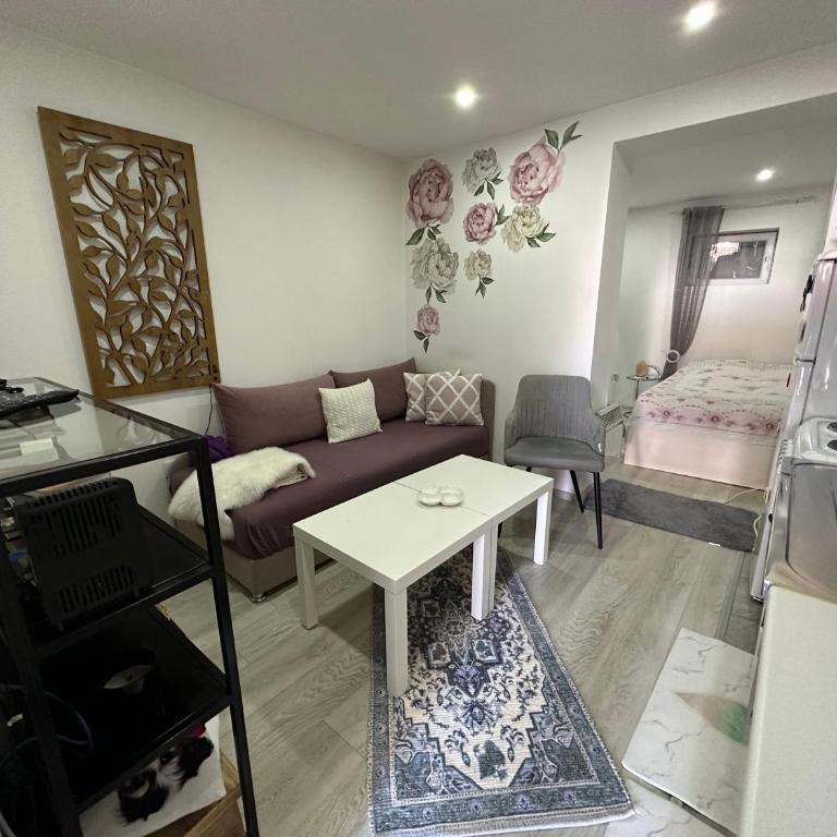 Apartmani Senzor - Apartman sa 1 Spavaćom Sobom - 9