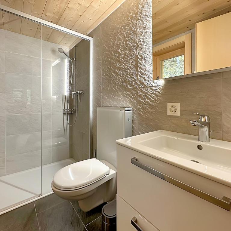 Chalet a Didi - Alps Paradise - 4 Vallees - Chalet - 12