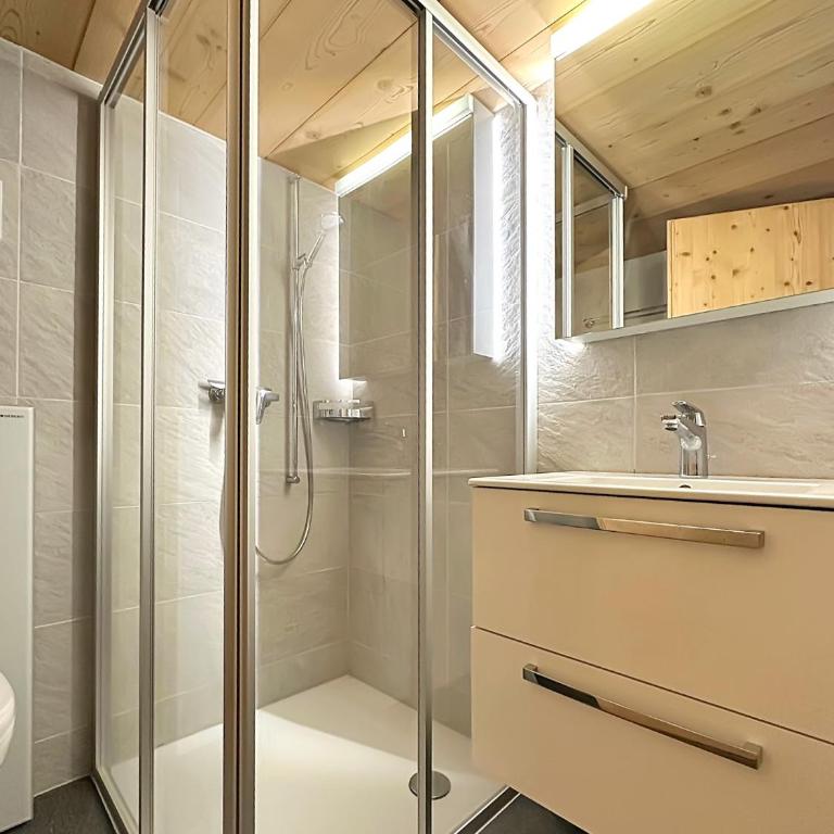 Chalet a Didi - Alps Paradise - 4 Vallees - Chalet - 11