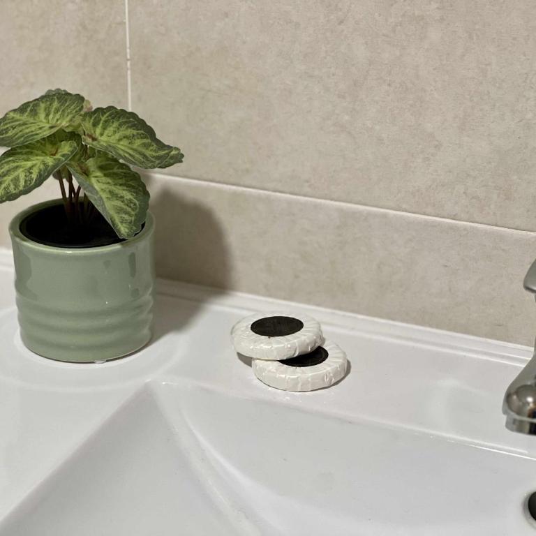 Almamater salamanca - Apartamento Estándar - 5