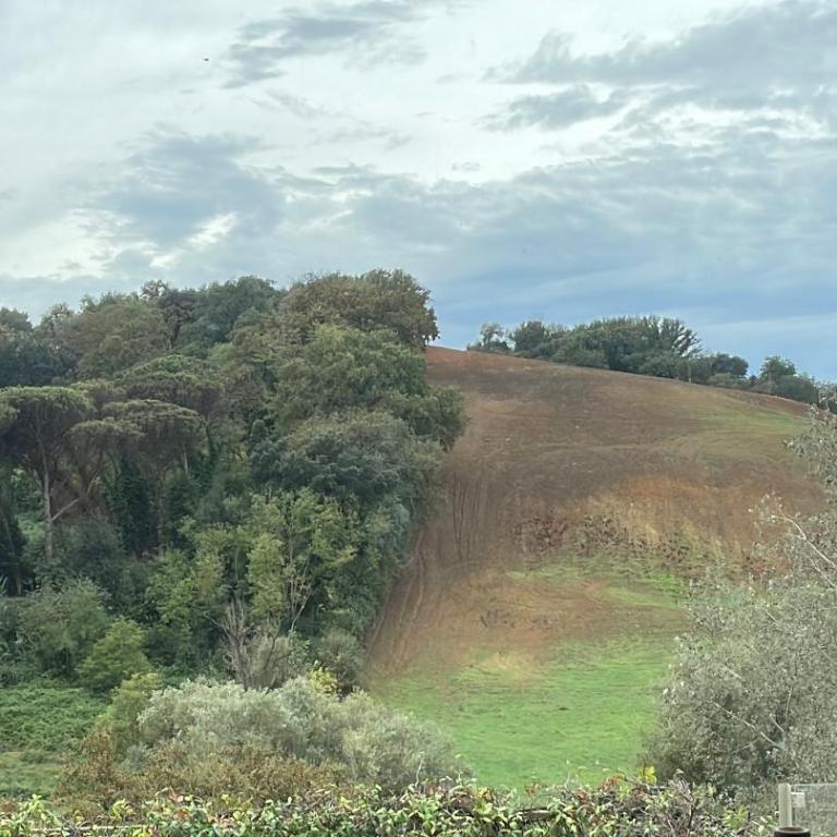 Appartamento nel verde fronte ospedale San Pietro, Sant'Andrea - Appartamento - 3