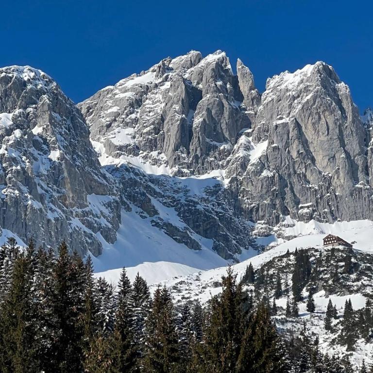 Genießen Sie Bergblick & Sauna im modernen Chalet - Chalet - 18