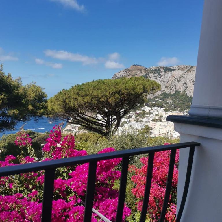 MARVELOUS SEA VIEW VILLA - Appartamento con 2 Camere da Letto - 39
