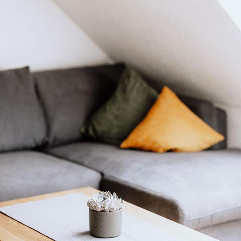 Das Schutzhaus-Bed and Breakfast-Dein Basislager im Salzkammergut - Apartment mit 1 Schlafzimmer - 6