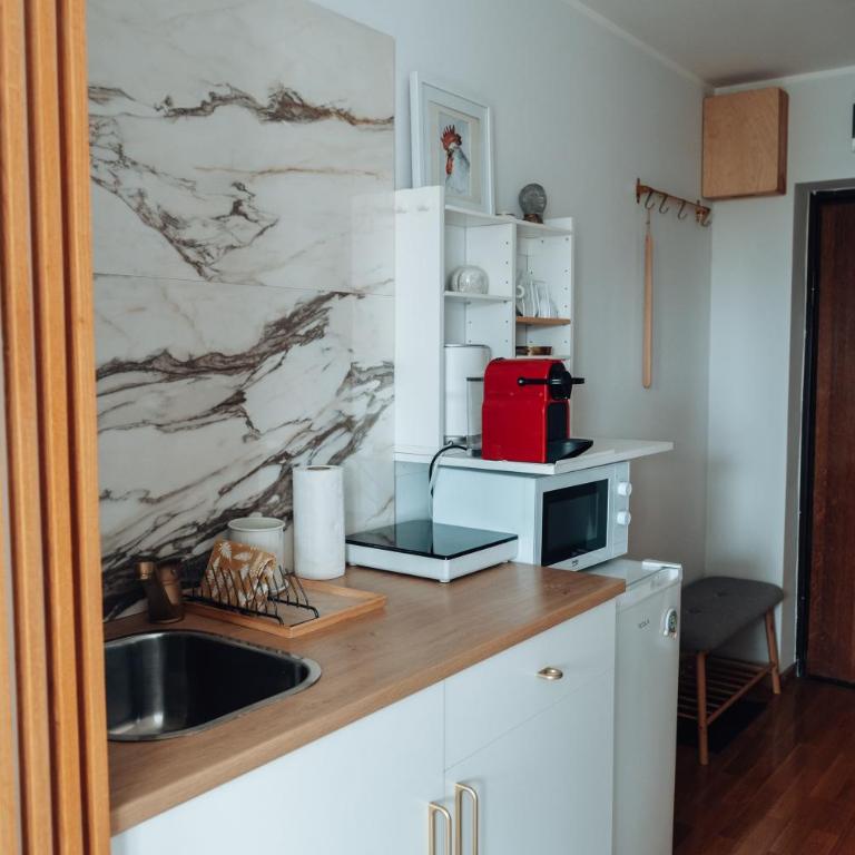 Zeus Nest Apartment - Studio Apartman - 19