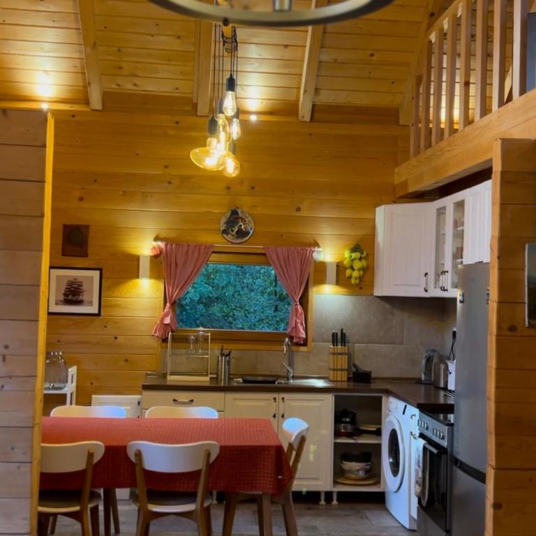 Wood Cabin Hillside Retreat - Vikendica - 18
