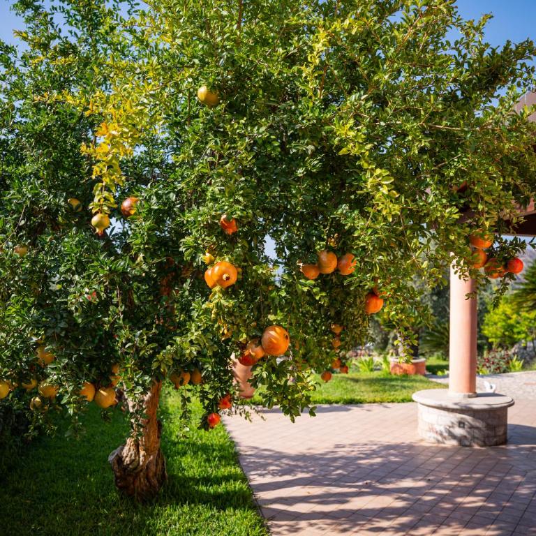 Villa Rita Taormina - Villa con 3 Camere da Letto - 39
