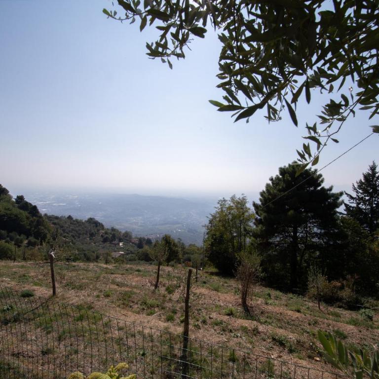 Villa Iris with Swimming Pool - Villa con Piscina Privata - 67