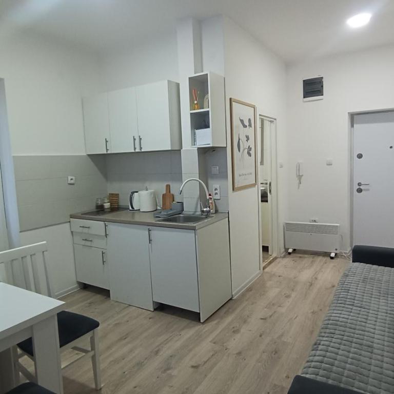 Gepratova Apartment - Apartman sa 1 Spavaćom Sobom - 6