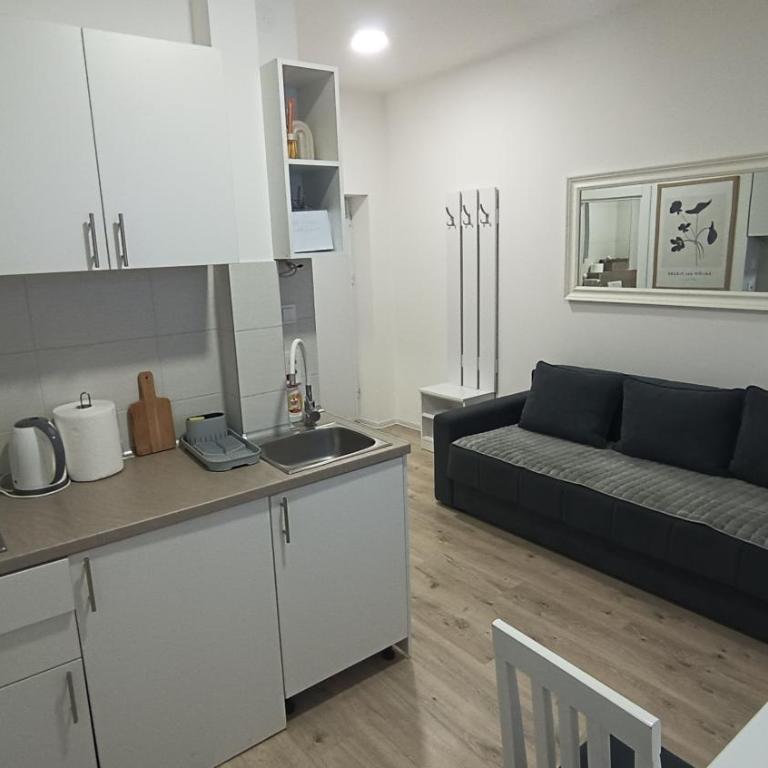 Gepratova Apartment - Apartman sa 1 Spavaćom Sobom - 16