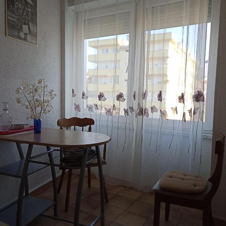 Apartments Tepić - Studio Apartman - 9