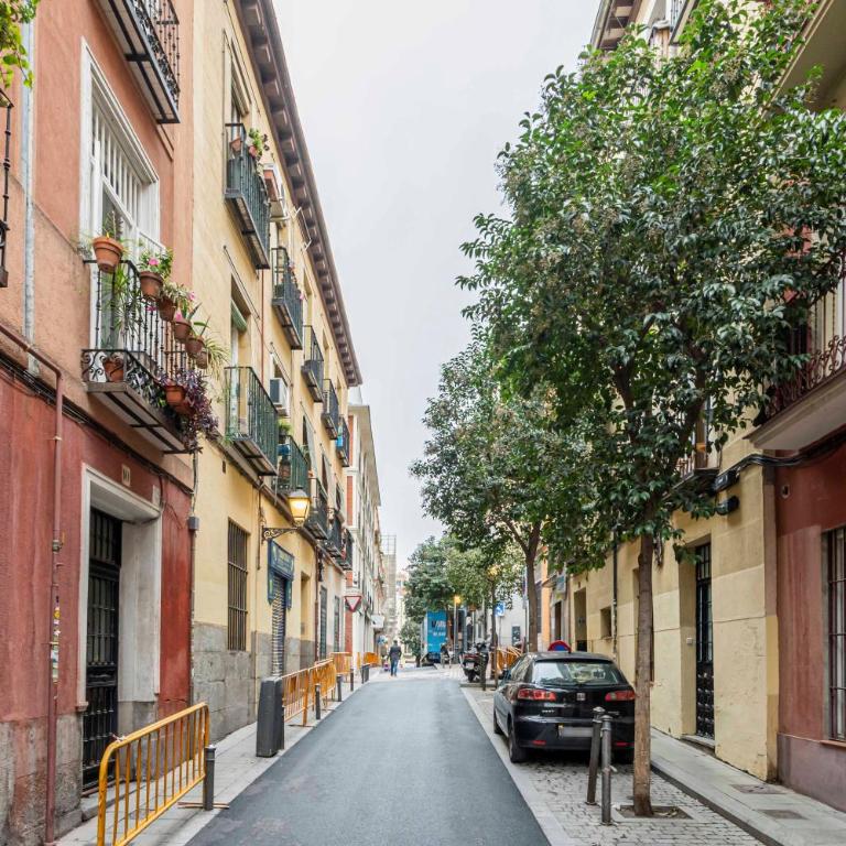 Homelike Lavapies 2 bedroom - Apartamento de 2 dormitorios - 27
