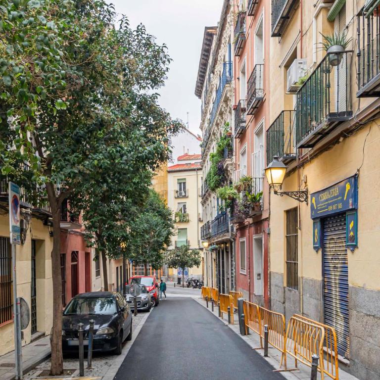 Homelike Lavapies 2 bedroom - Apartamento de 2 dormitorios - 29