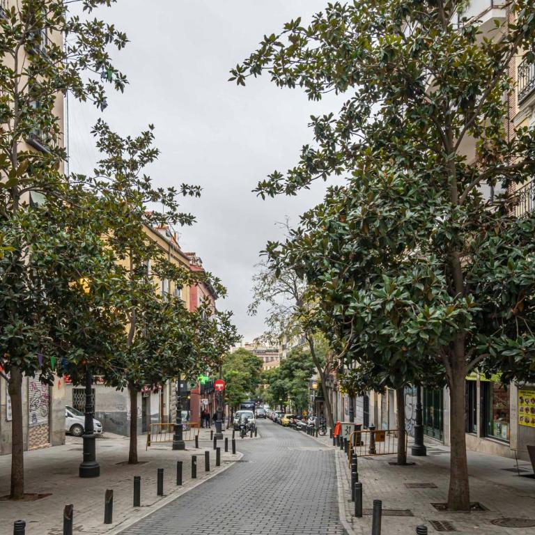 Homelike Lavapies 2 bedroom - Apartamento de 2 dormitorios - 28