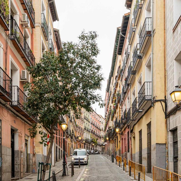 Homelike Lavapies 2 bedroom - Apartamento de 2 dormitorios - 30
