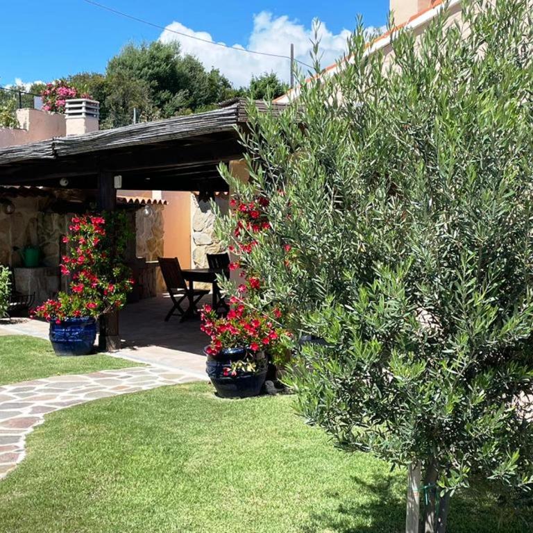 Sandy Cove Patio Villa sul Mare - Villa Fronte Spiaggia - 22