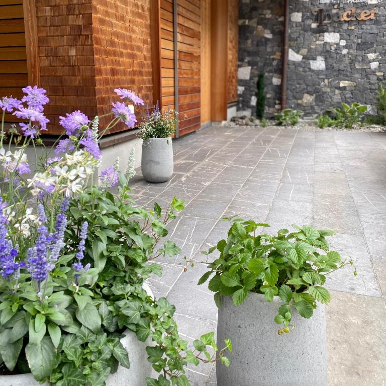 Naturhaus Loacker - Apartment mit Terrasse - 7