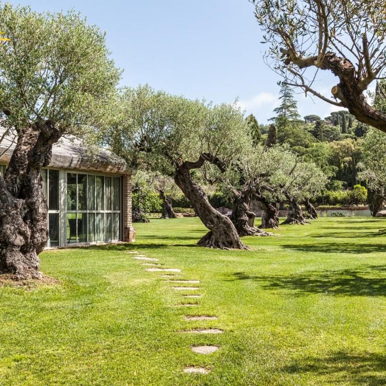 Domaine Les Mésanges - Suite Superior con cama extragrande - 2