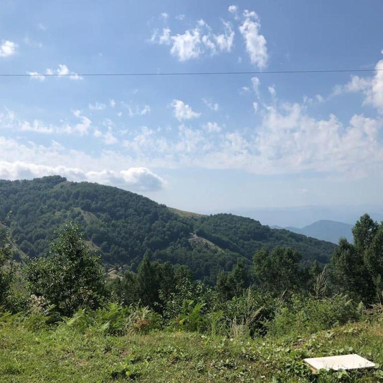 Cozy Mountain View Apartment - Apartman sa 1 Spavaćom Sobom - 13
