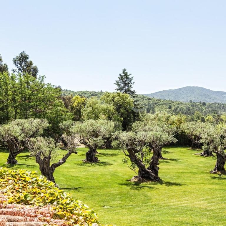 Domaine Les Mésanges - Villa Superior - 1