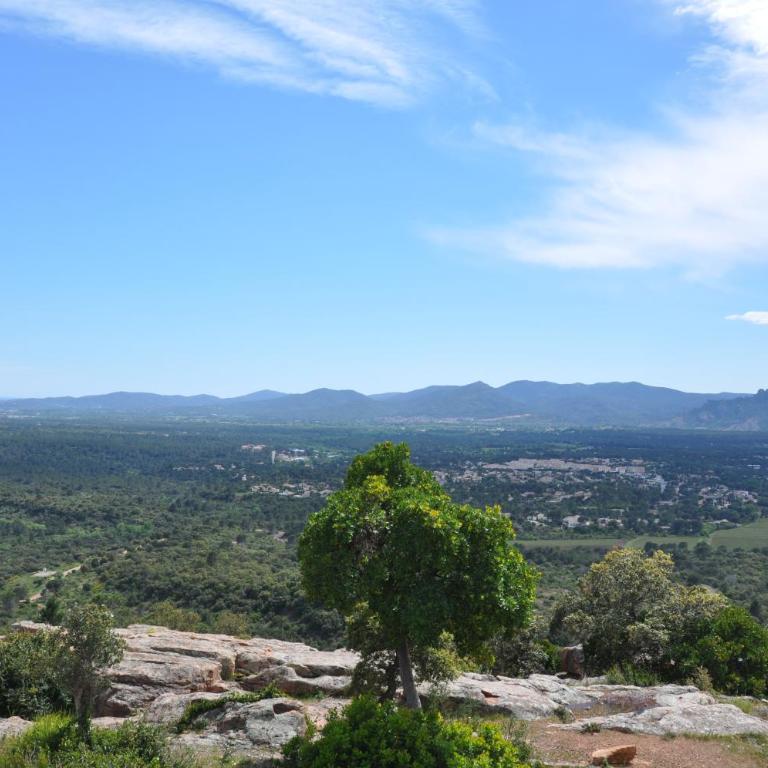 Mountain Retreat in Roquebrune-sur-Argens with Shared Pool - Mobile Home - 21