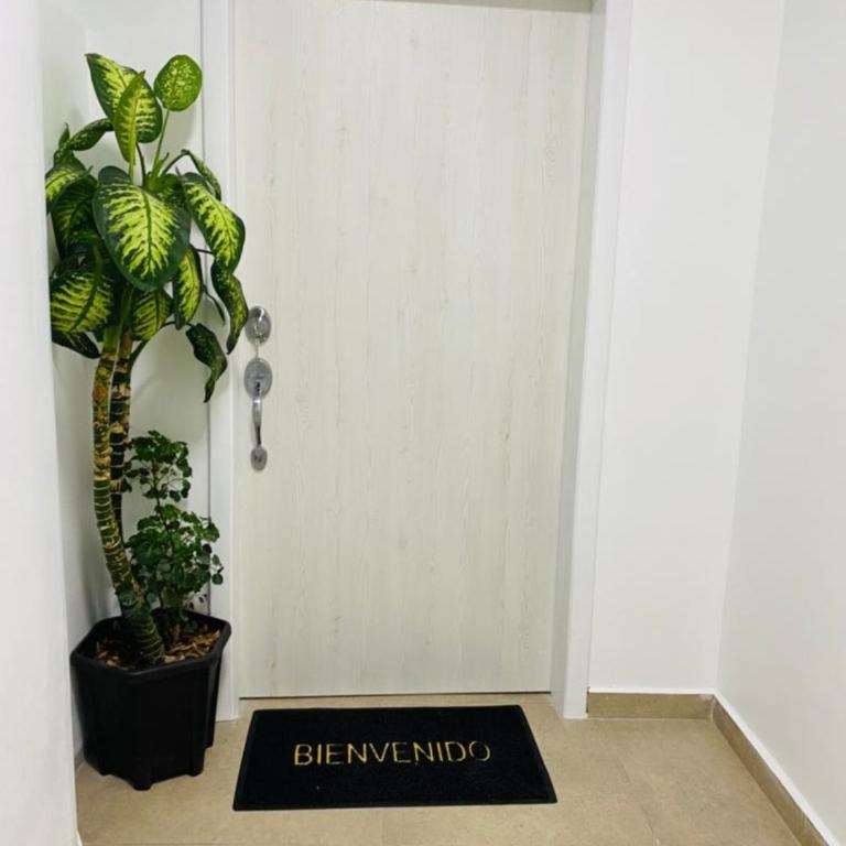 Casa Gaviota Dorada - Suite Deluxe con bañera de hidromasaje - 4