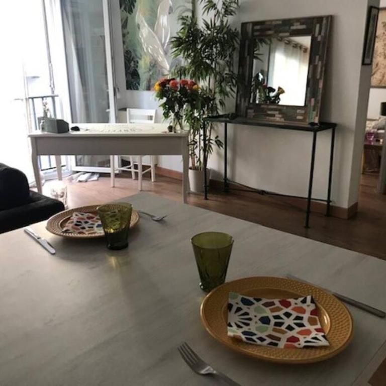 Bel et grand appartement chaleureux hyper centre - Apartment mit 1 Schlafzimmer - 7