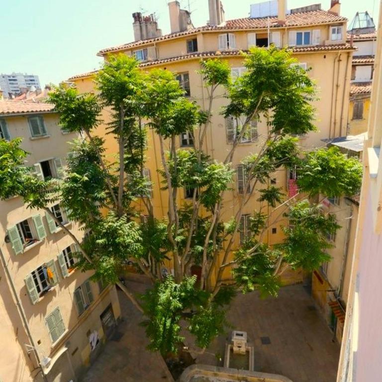 #3 Studio # Place charmante - Studio Deluxe - 12