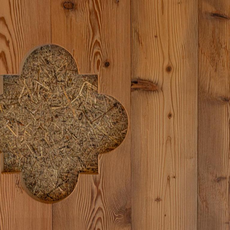 FARM CHALET JUSCIARA - Appartamento con Balcone - 28