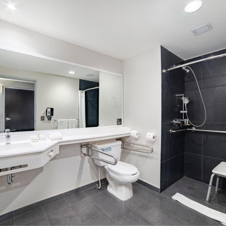 City Express Plus by Marriott Ciudad de México Insurgentes Sur - King Room - 5