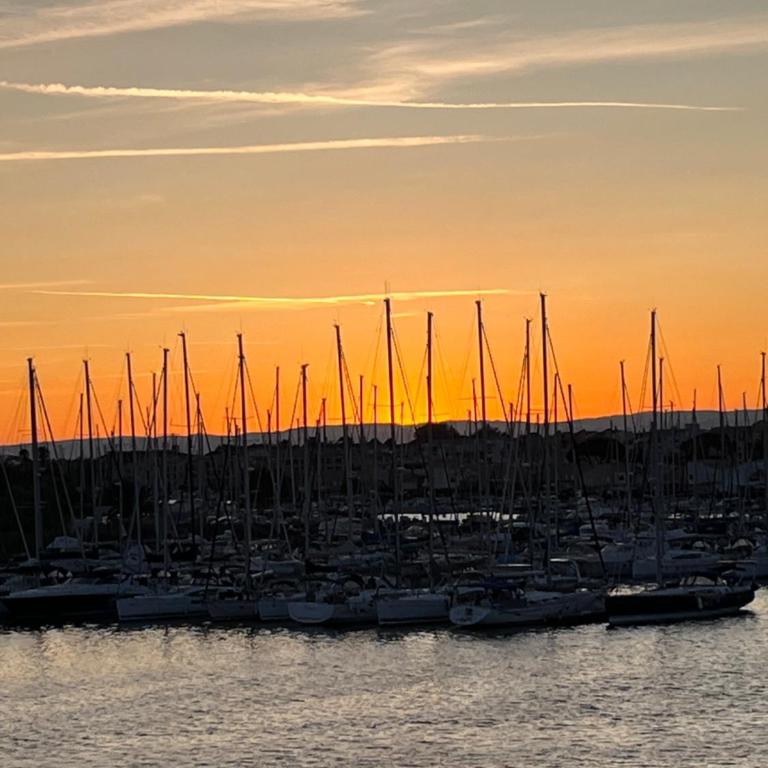 Studio Prestige avec terrasse, île des pêcheurs, Vue port - Appartement - Vue sur Mer - 20