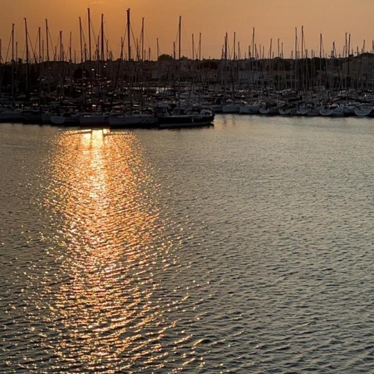 Studio Prestige avec terrasse, île des pêcheurs, Vue port - Appartement - Vue sur Mer - 19