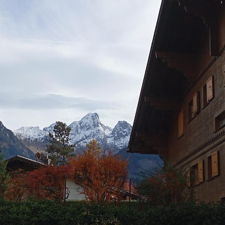 Cozy apartment in the heart of the Alps - Apartment mit 2 Schlafzimmern - 29